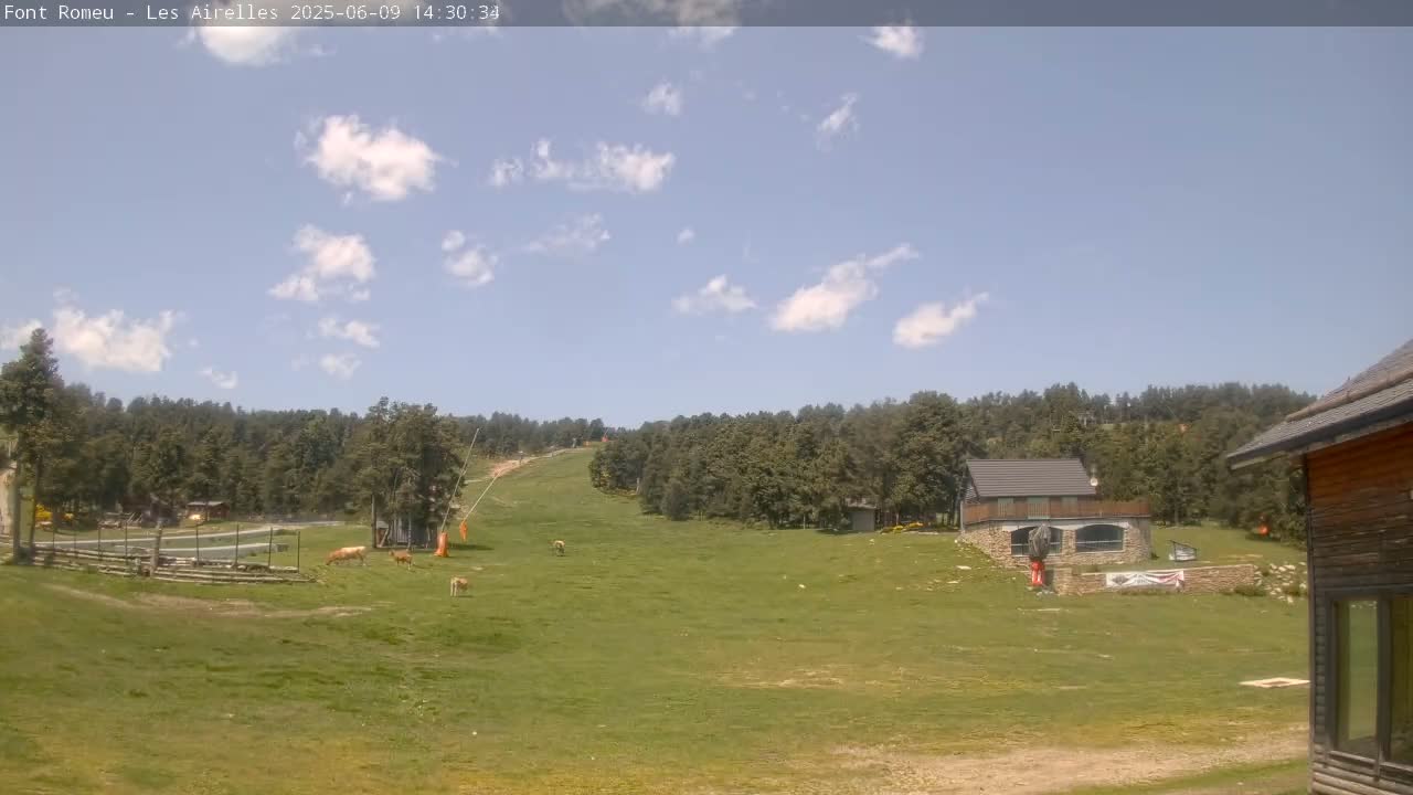 A grassy field with a few cows, a small building, and a forest in the background under a partly cloudy sky.