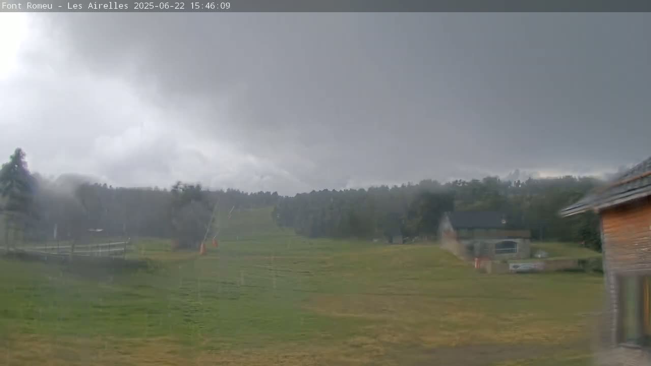A grassy field with a forest in the background is seen under a gray, overcast sky with rain falling.