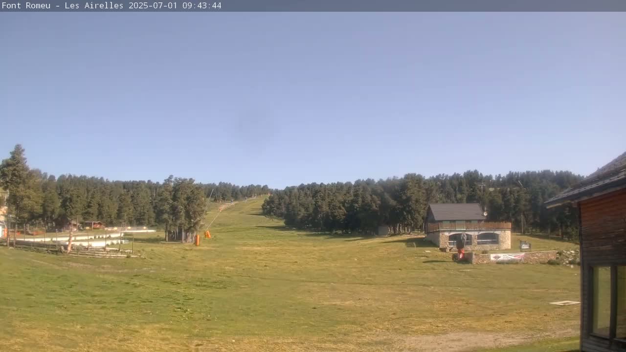 A grassy field slopes gently upward toward a line of evergreen trees under a clear blue sky.