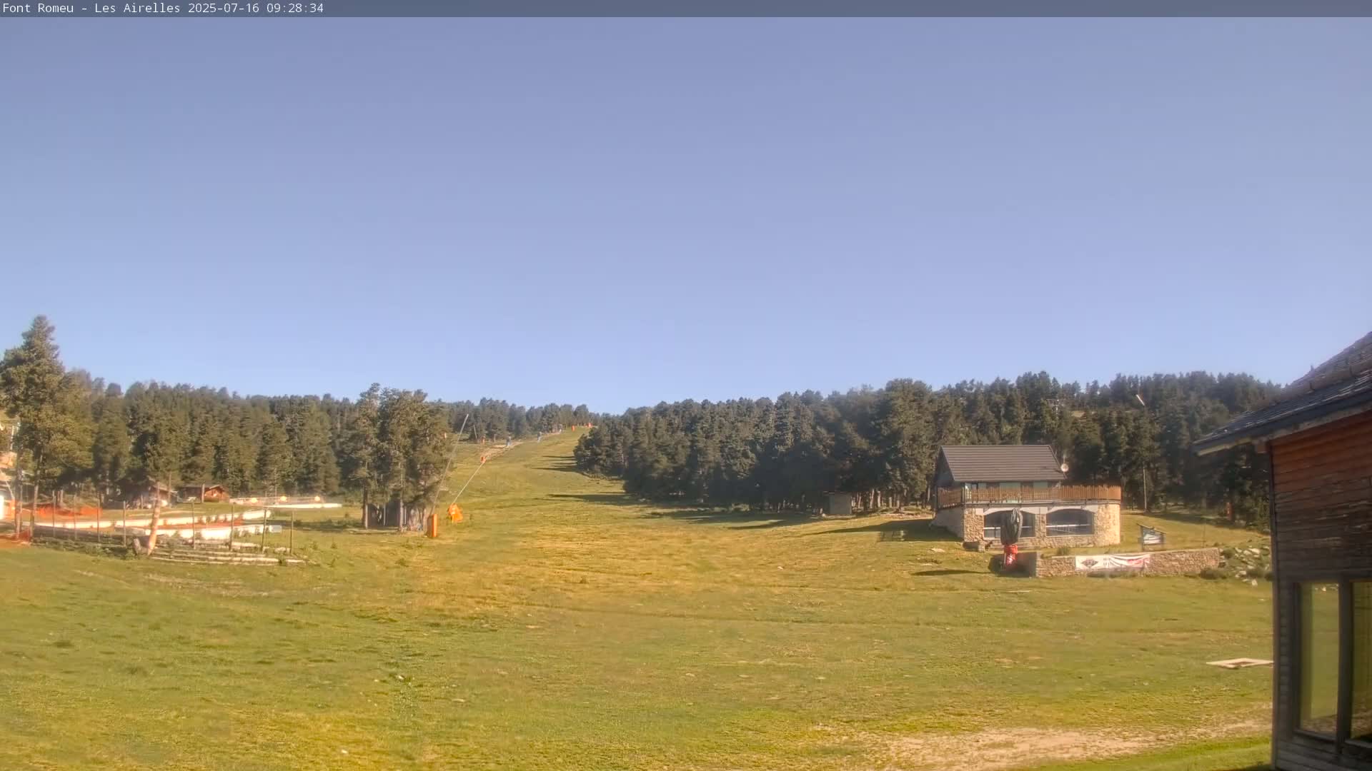 A grassy field slopes upward toward a line of dark green trees under a clear, bright blue sky.
