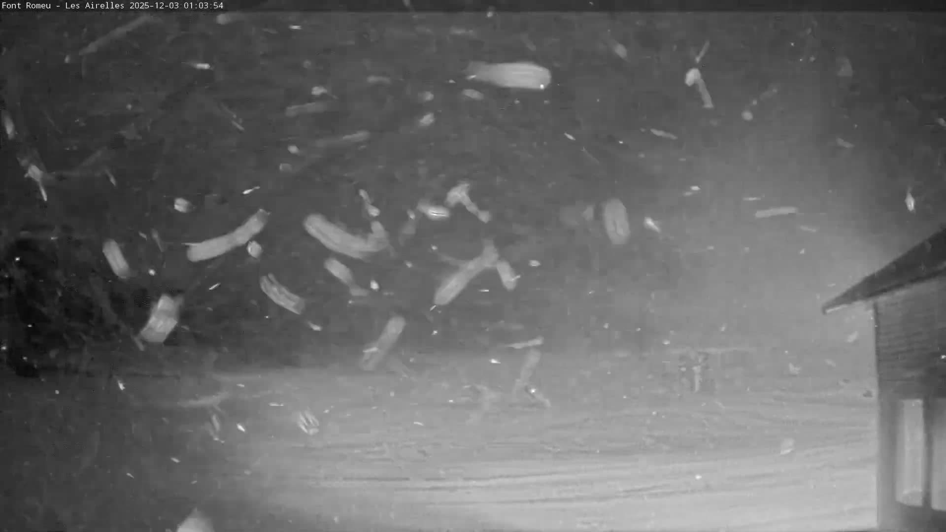 Font Romeu Pyrenees 2000 m Les Airelles Ski Slopes Live Cam - Prades, Pyrenees-Orientales, Occitanie, France