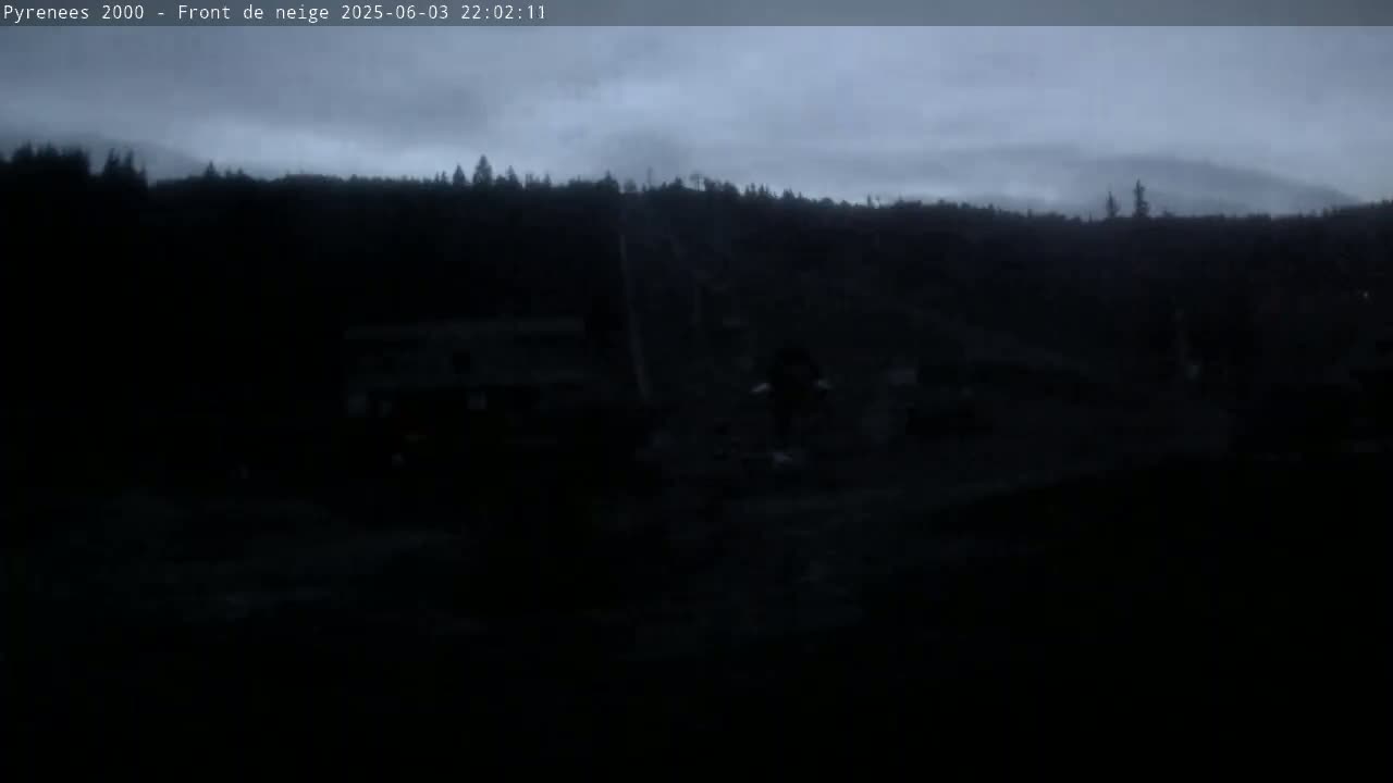 A dark, overcast sky looms over a silhouetted forest at night.