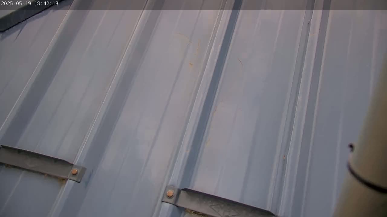 A close-up view shows a gray metal roof with slightly visible fasteners and some debris.