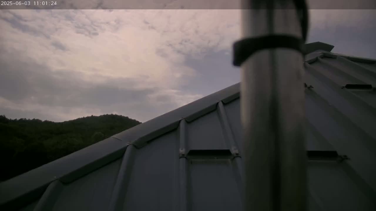 A mostly cloudy sky is visible above a dark gray metal roof, with a line of trees and hills in the background.