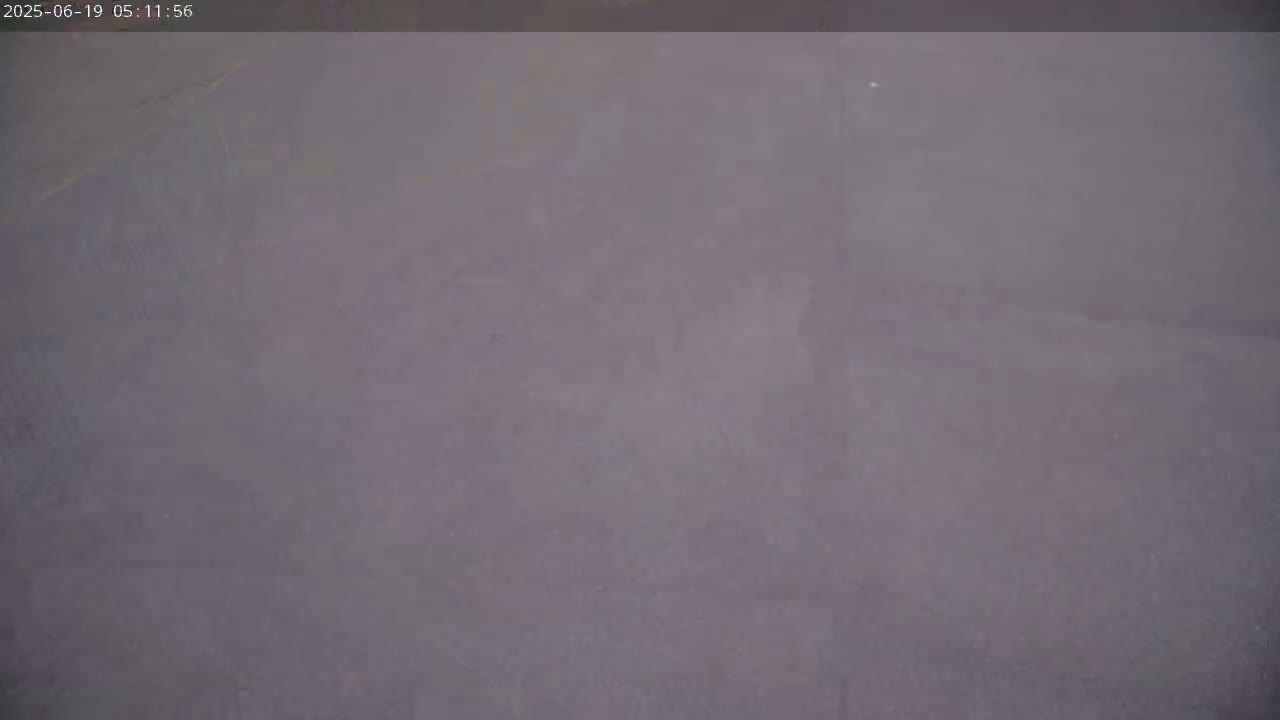 A blurry, dark gray or purple surface is visible under foggy or hazy conditions.