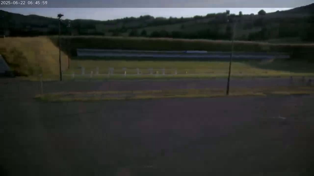A wide, flat area with short grass and a few light posts is visible, under an overcast sky, beyond a dark asphalt road and a patch of tall dry grass.