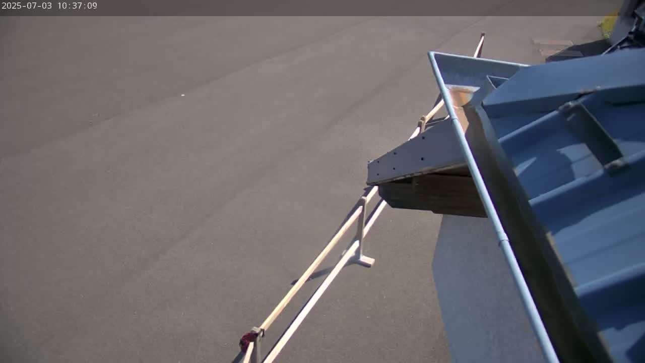 Haut-Valromey, Plateau de Retord, Stade de Biathlon Des Plans d'Hotonnes (Plans d'Hotonnes Biathlon Stadium) Live Cam - Belley, Ain, Auvergne-Rhône-Alpes, France