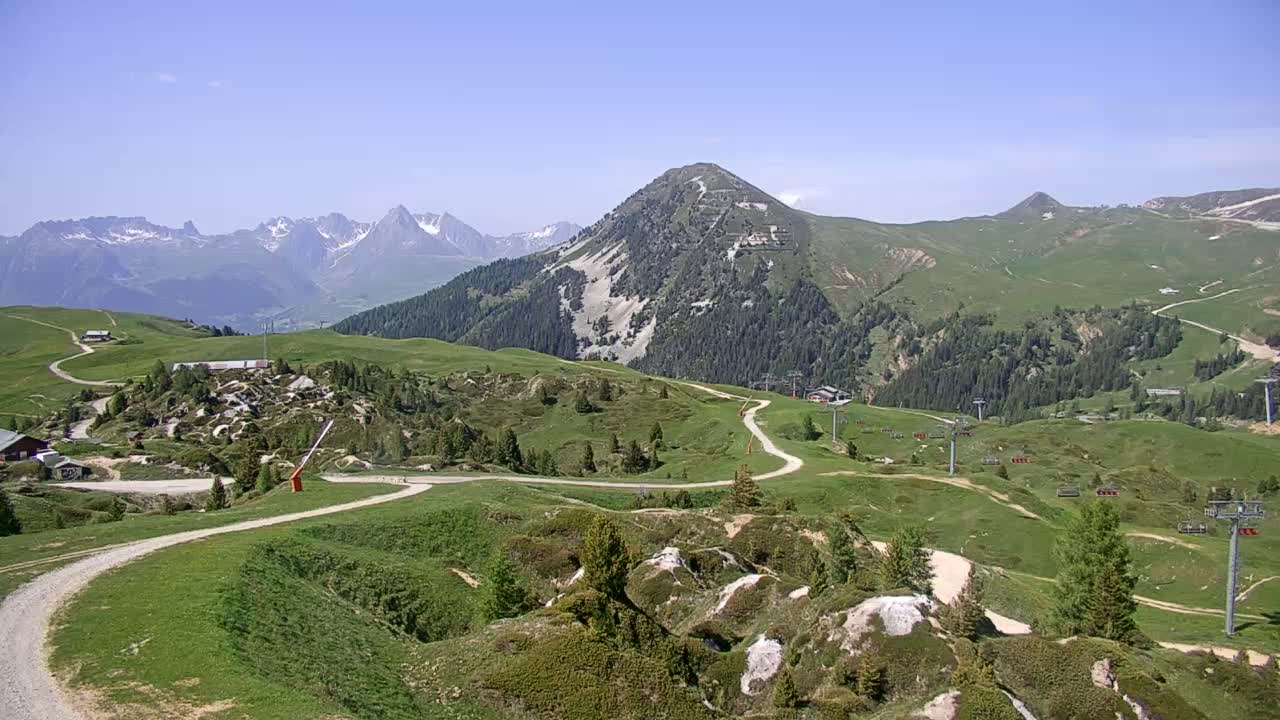 A winding dirt road leads through a grassy alpine landscape dotted with rocks and sparse trees, under a clear blue sky, with mountains in the background.