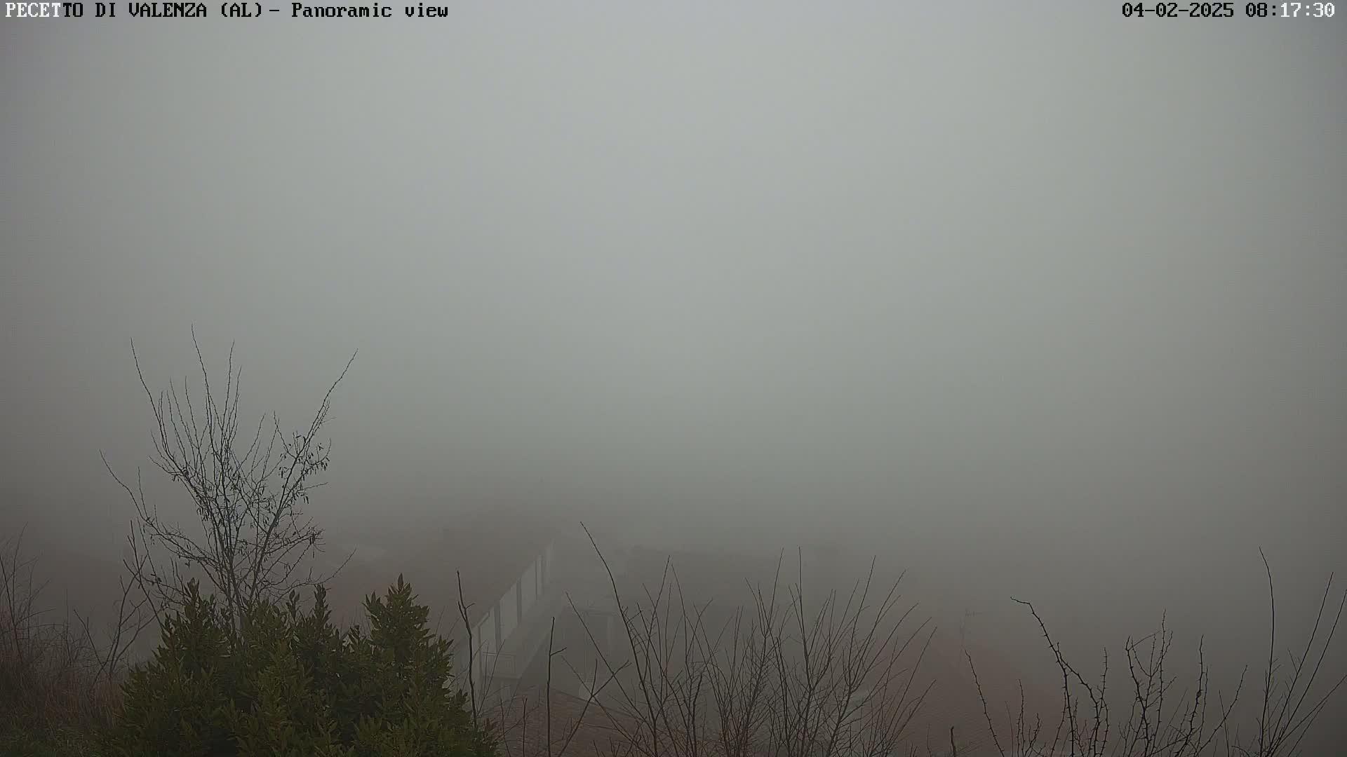 A foggy landscape is visible, featuring bare branches of trees and shrubs in the foreground, with indistinct structures barely visible through the dense fog in the mid-ground.