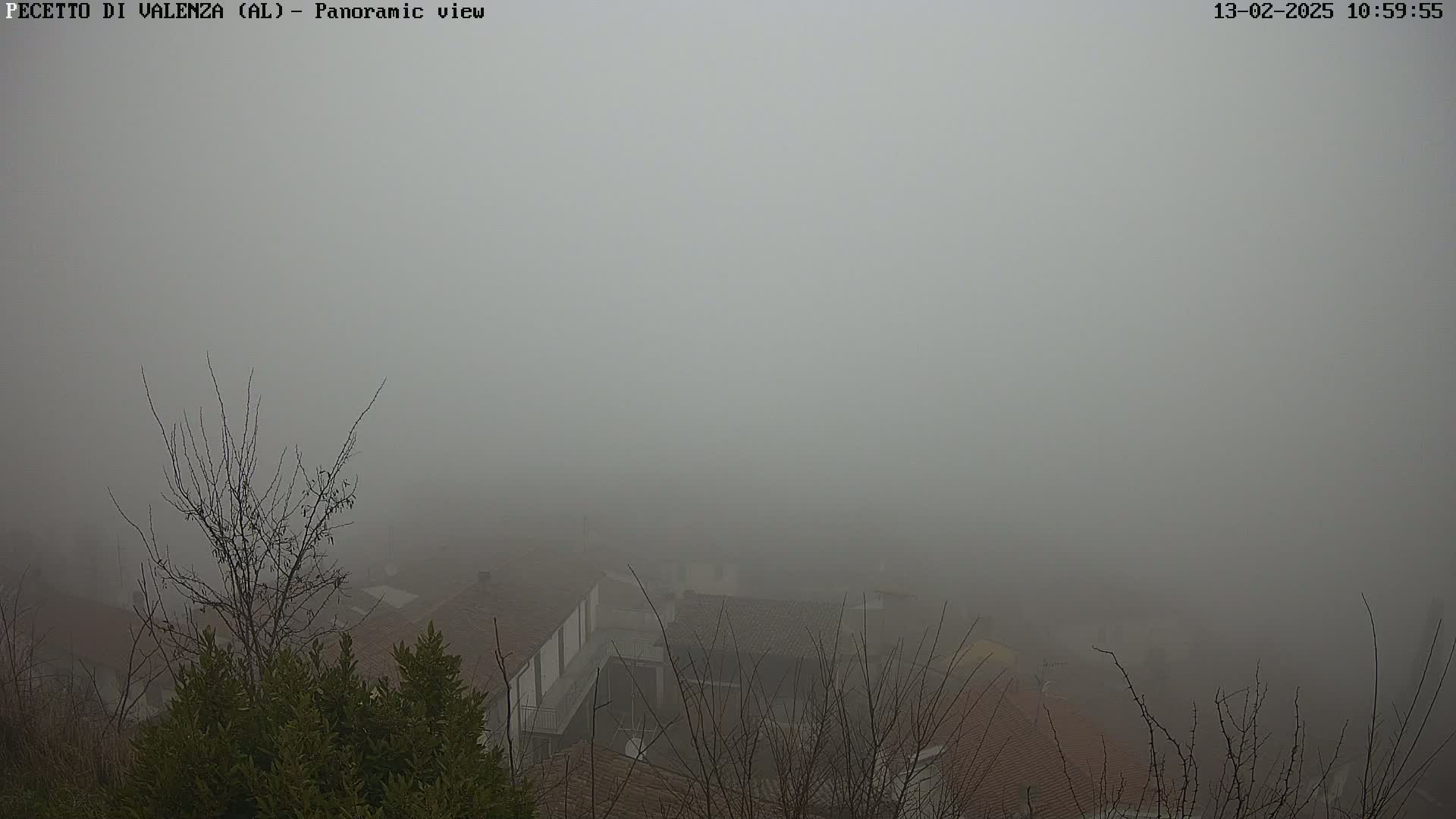 A thick fog obscures a view of rooftops and bare winter trees.