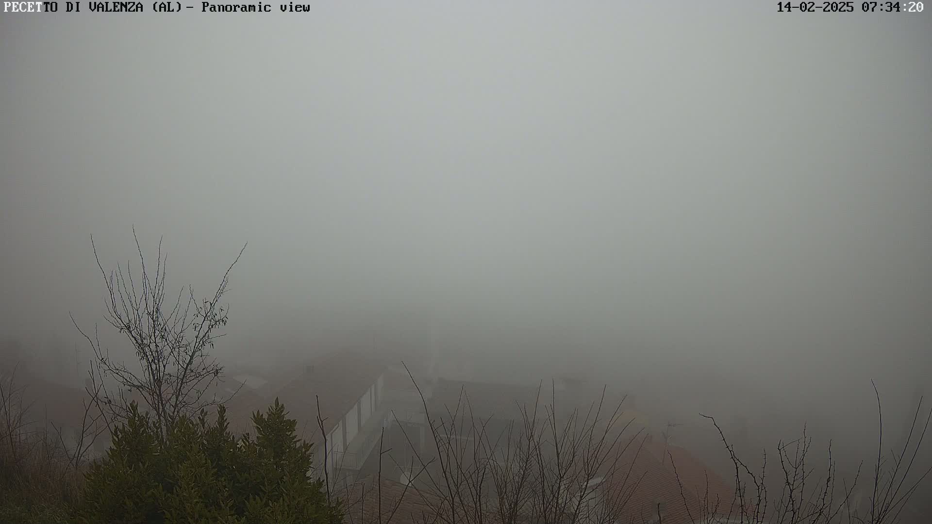 A foggy, overcast view of rooftops and bare winter trees.
