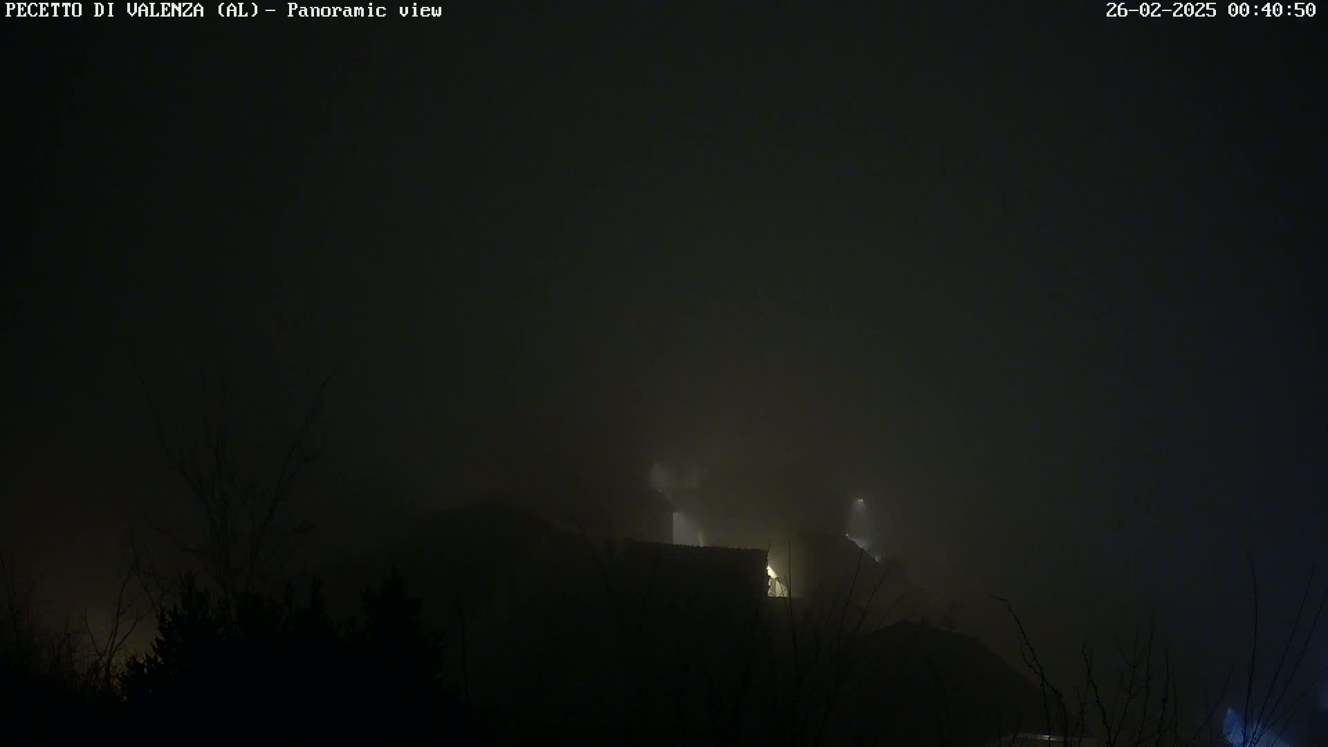 A nighttime, foggy scene shows dimly lit buildings nestled among dark trees and hills.