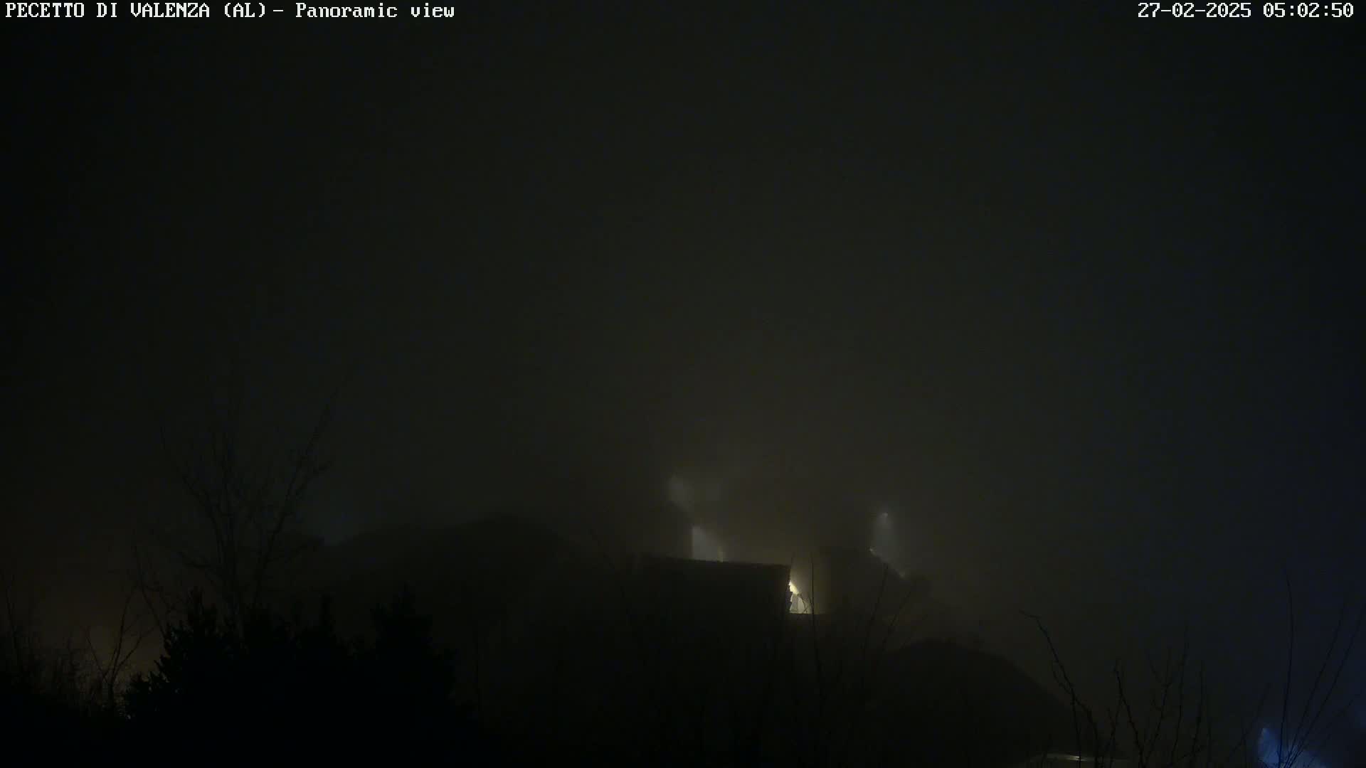 A foggy night scene shows dimly lit buildings and silhouetted trees.