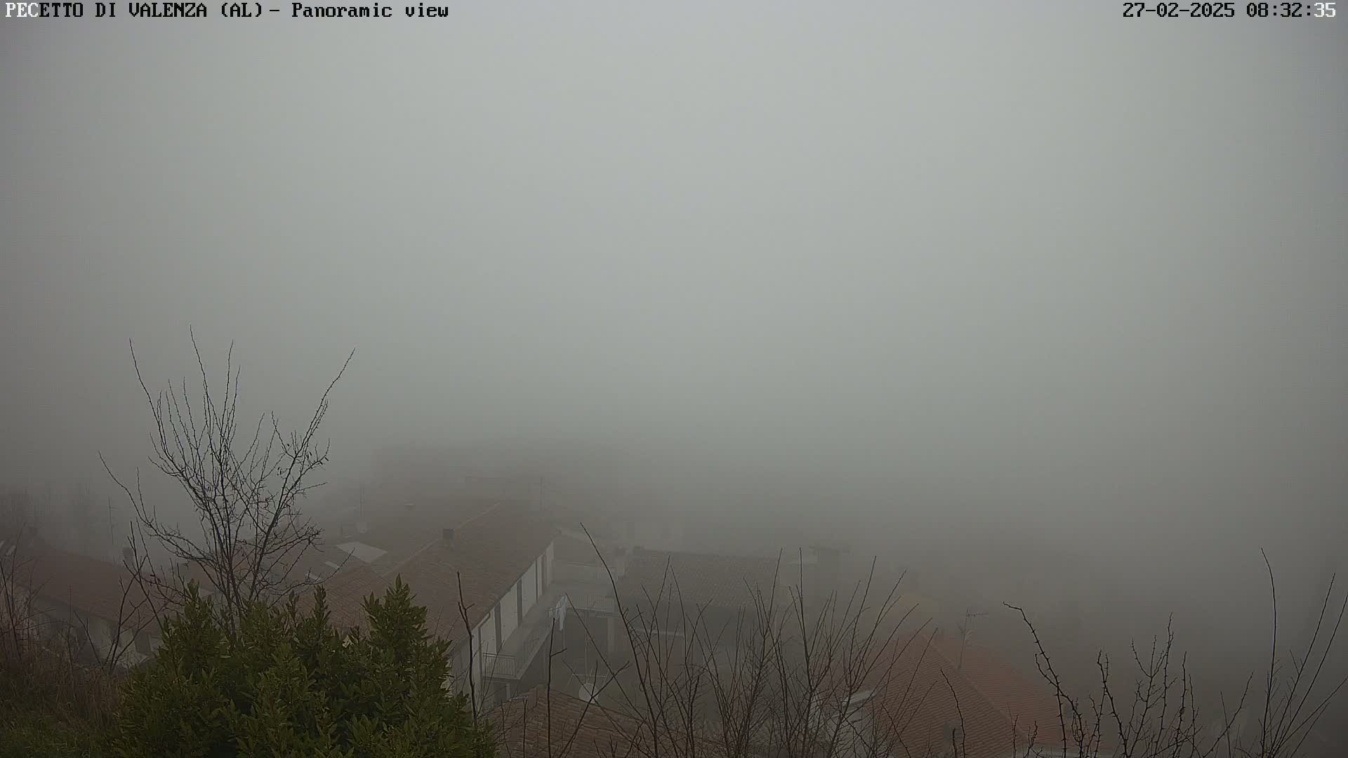 A thick fog obscures a view of rooftops and bare winter trees.