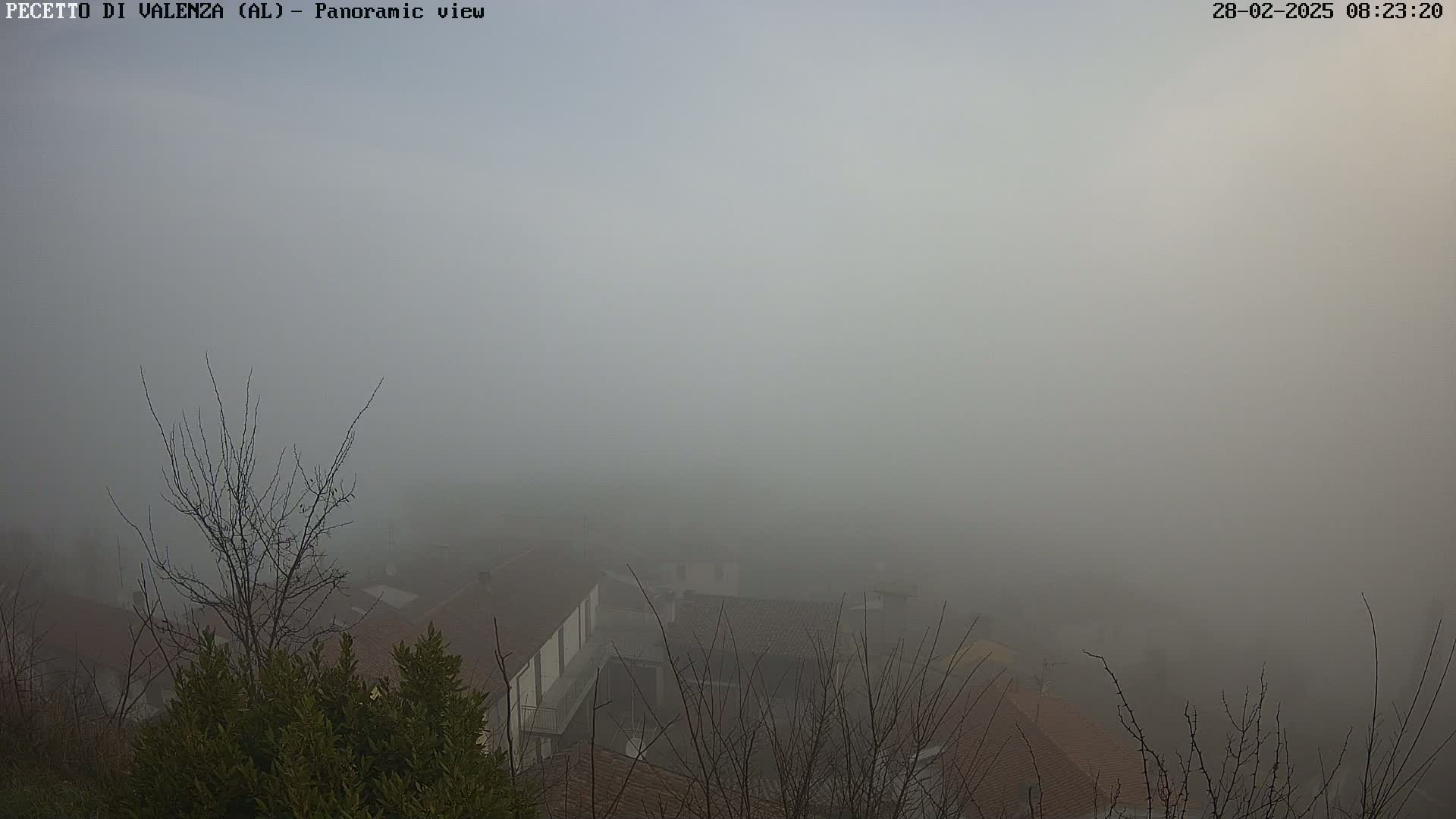 A foggy view of a village with bare trees and buildings partially obscured by the dense fog.