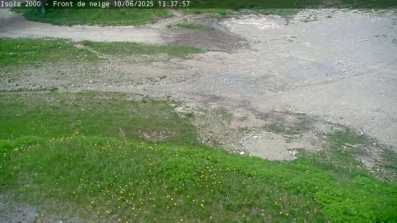 A mostly gravel area is bordered by patches of green grass with scattered yellow wildflowers.