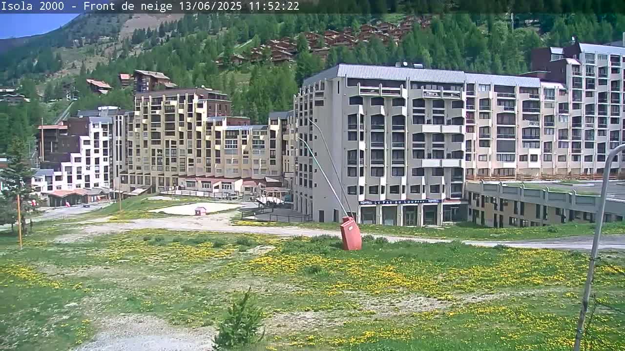 A view of several multi-story buildings in a mountainous area with a field of yellow wildflowers in the foreground on a sunny day.