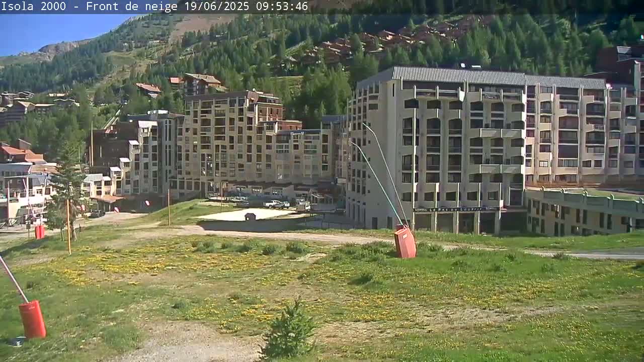 A grassy area with scattered wildflowers sits in front of several multi-story buildings, nestled against a hillside covered in green trees under a bright, sunny sky.