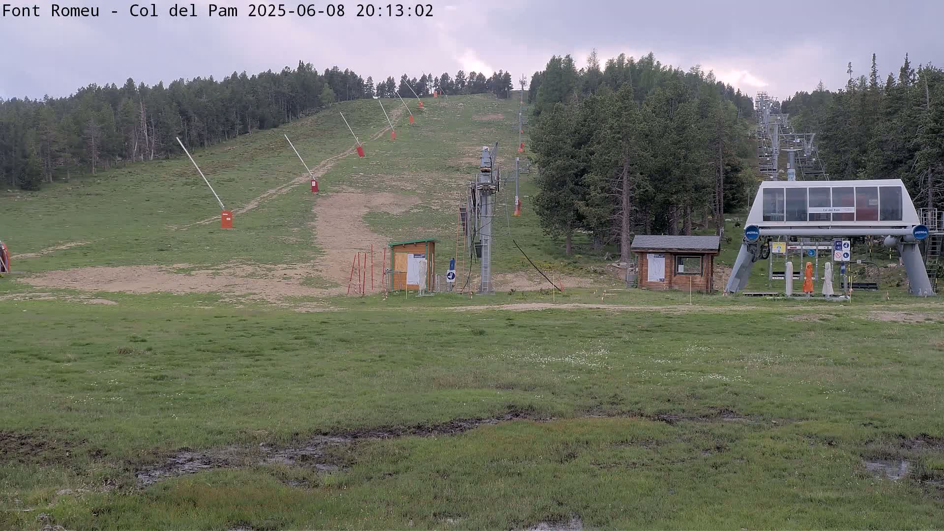 A ski lift sits at the bottom of a grassy hill covered in pine trees under an overcast sky.