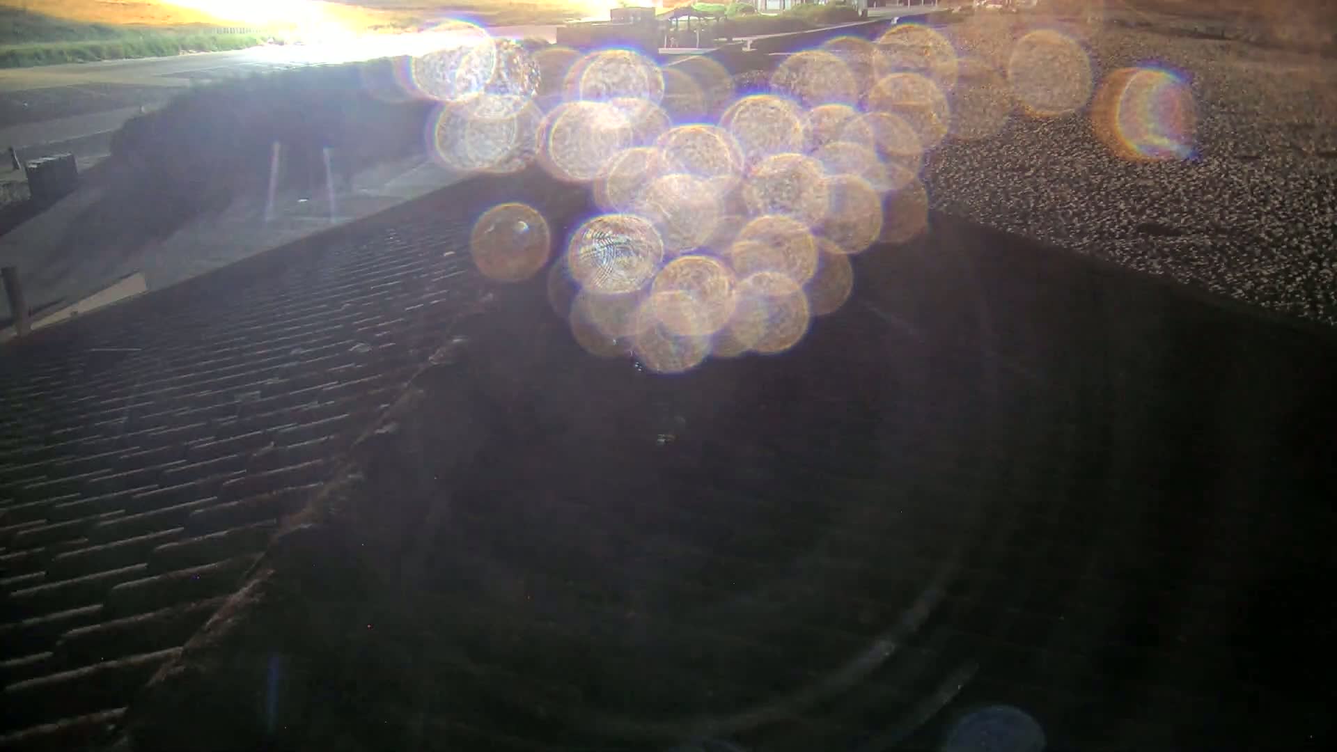 A dark, possibly nighttime, scene shows a textured surface with many blurry, bright circles of light in the center.
