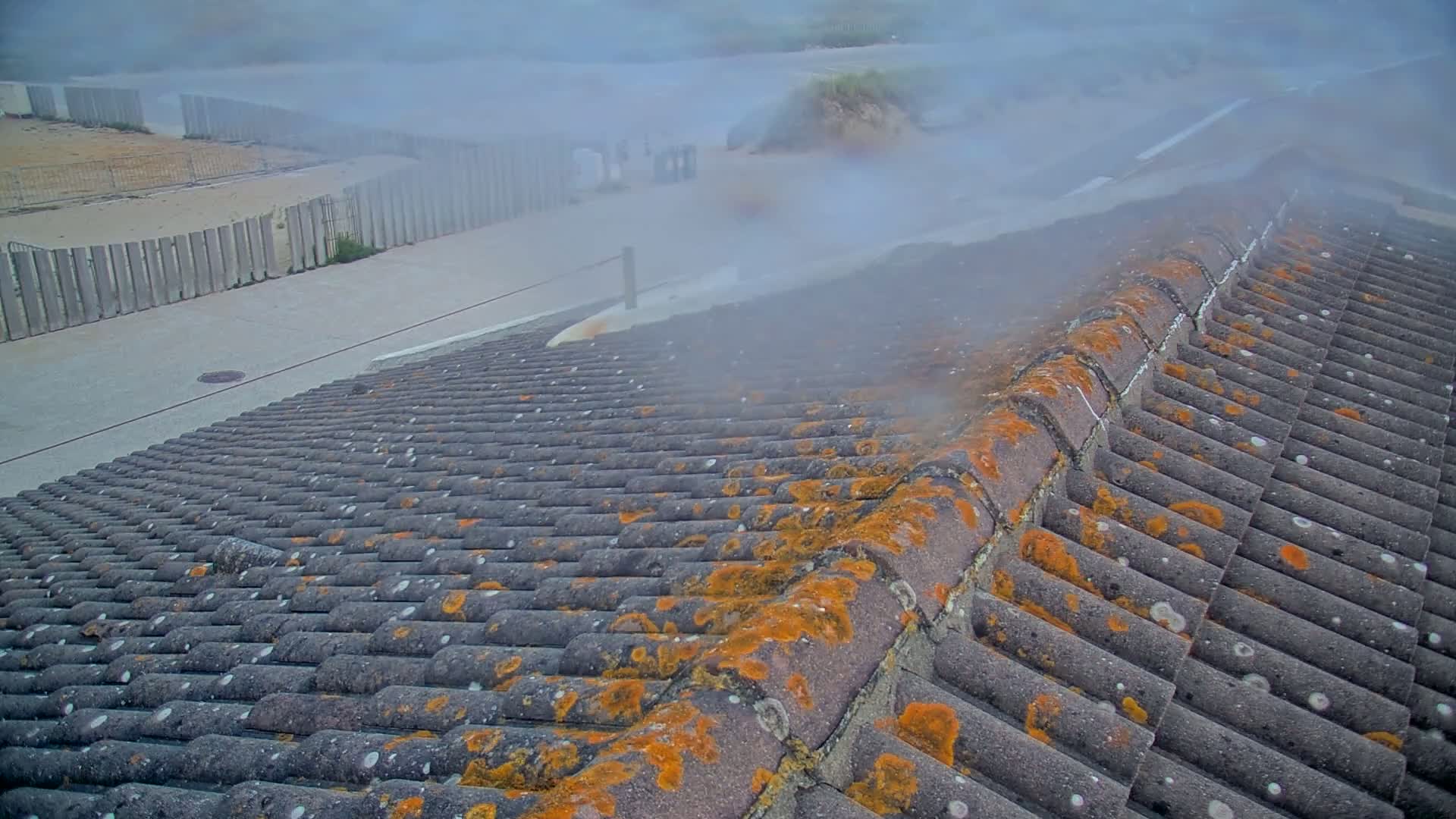 A mossy, gray tiled roof is partially obscured by fog, with a fence and paved area visible in the background.