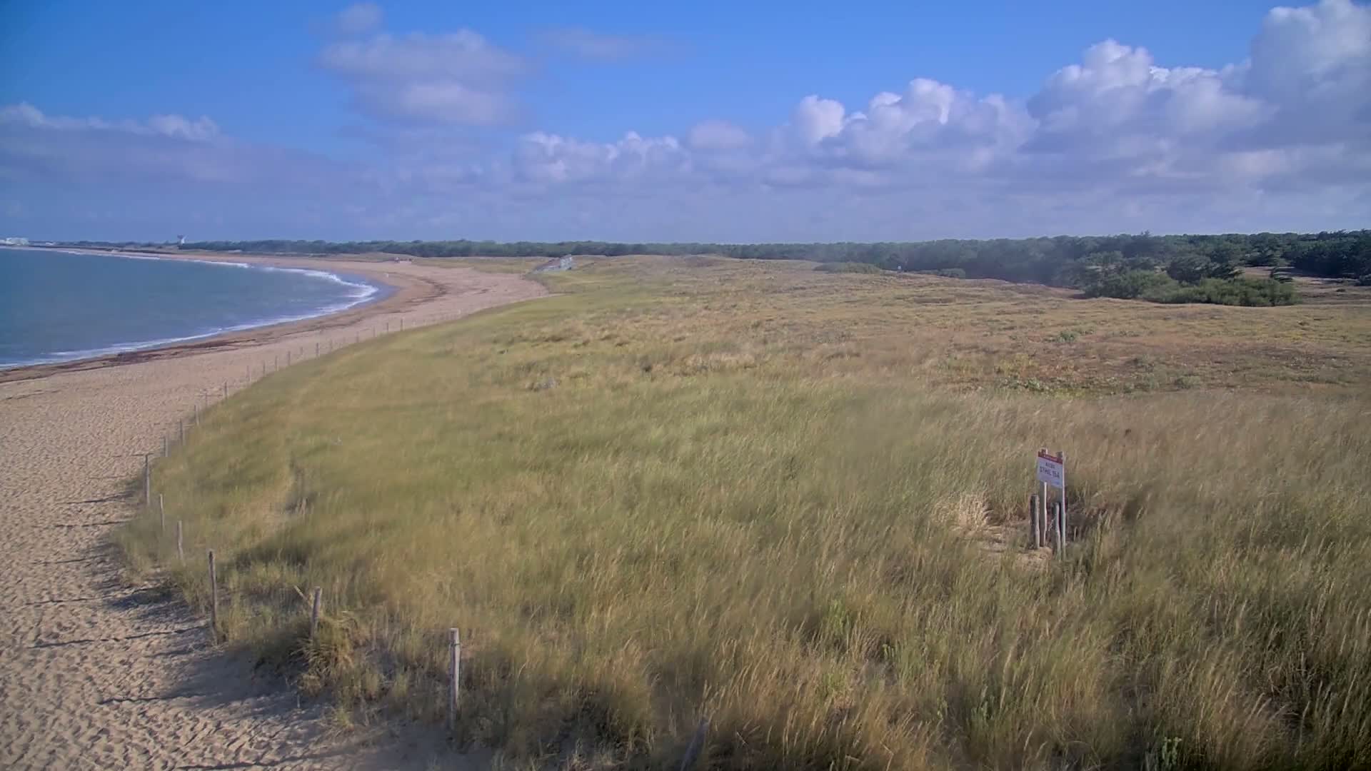 A sandy beach curves gently into a grassy dune landscape under a partly cloudy blue sky.