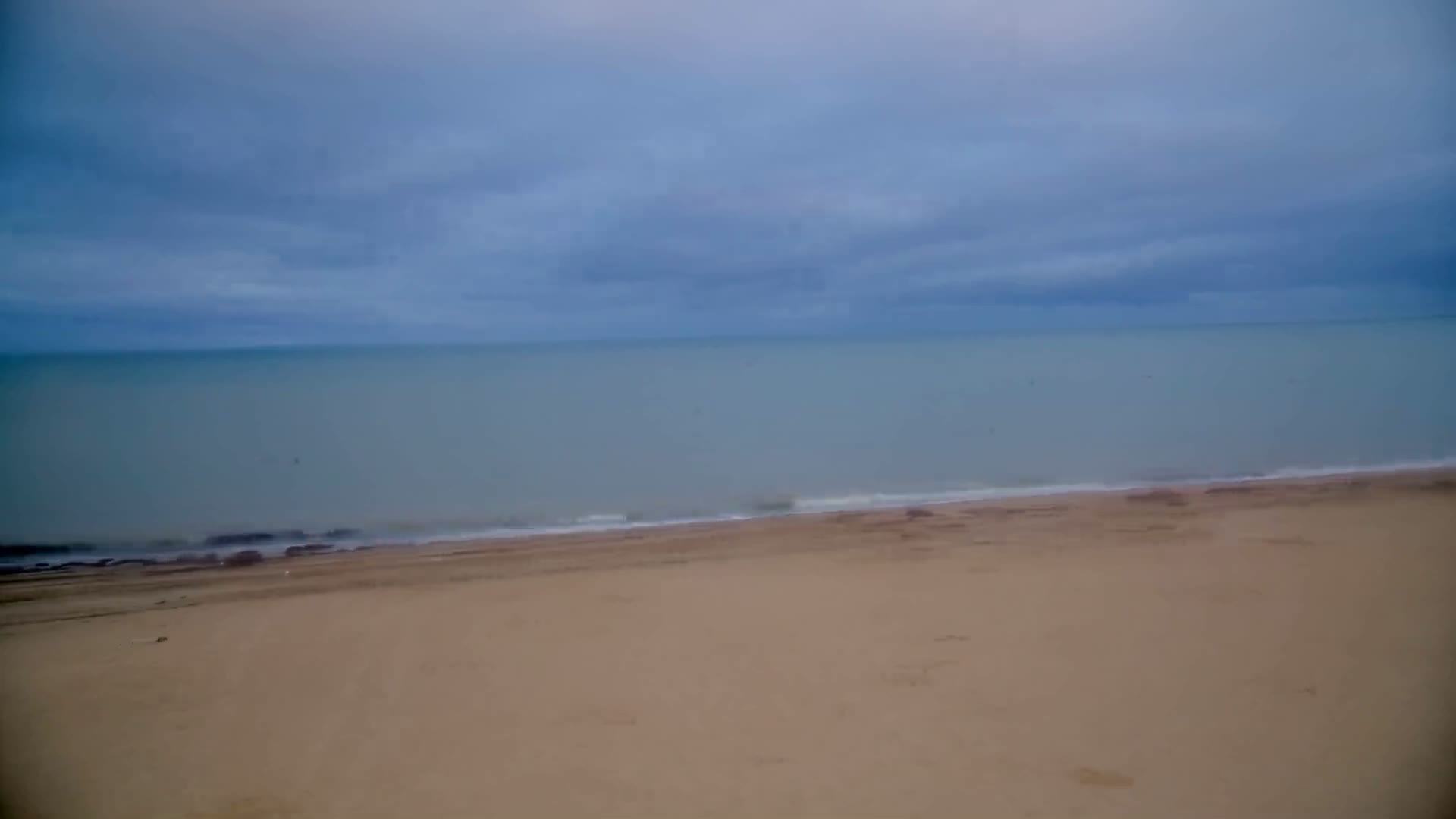 A sandy beach with tire tracks stretches along a calm, gray-blue ocean under a clear blue sky.