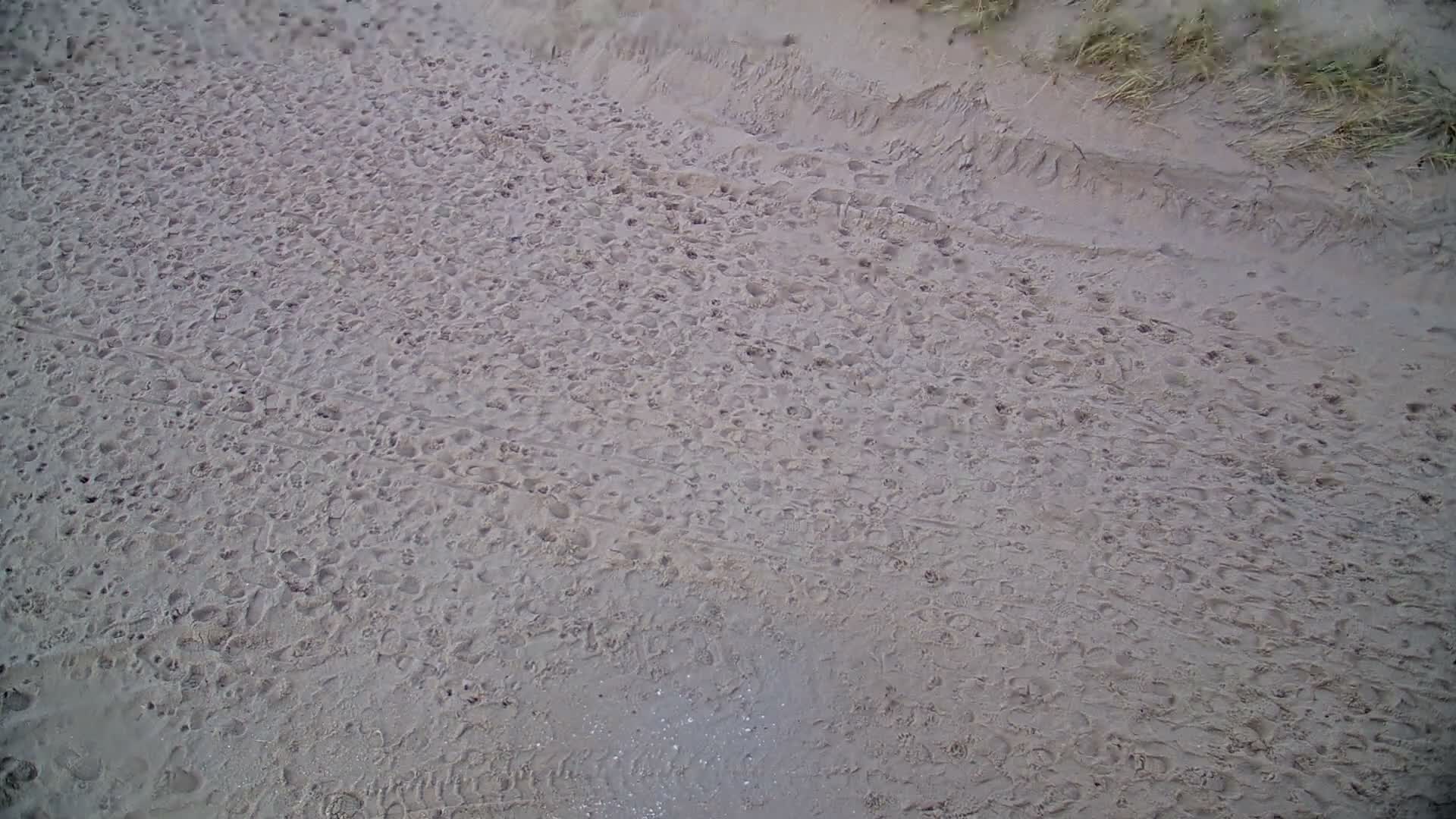 Saint-Hilaire-de-Riez, Plage de la Parée Préneau Beach Live Cam -  Les Sables-d'Olonne, Vendée, Pays de la Loire, France