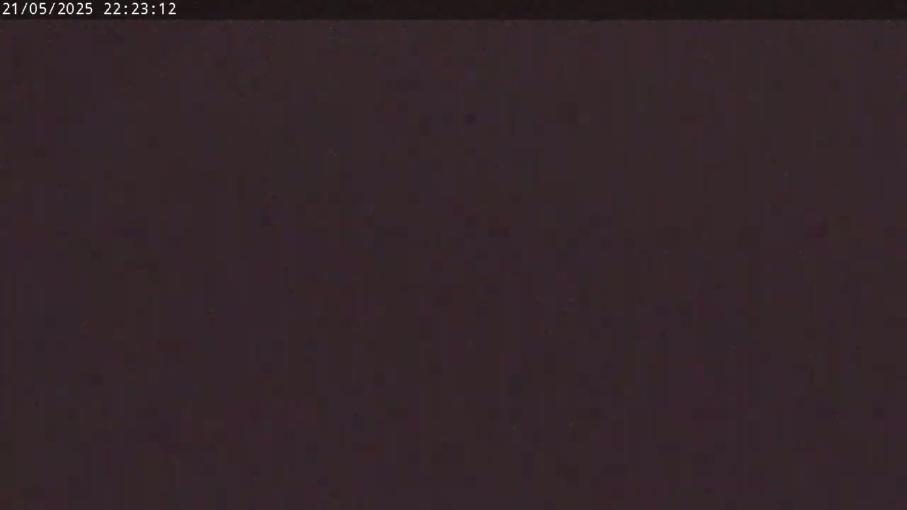The image is a solid, dark brown or purplish-black color.