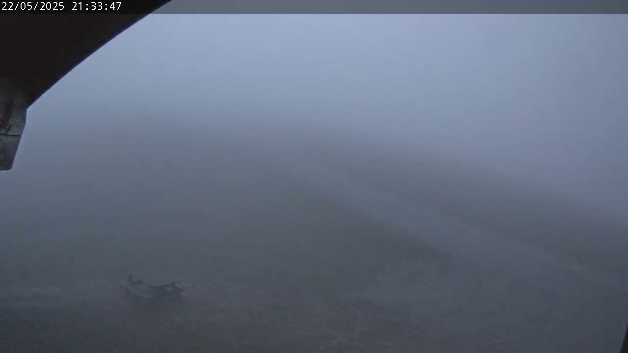 A foggy, low-visibility scene shows a dark ground with indistinct objects in the mid-ground, possibly vehicles, viewed from a slightly elevated position.