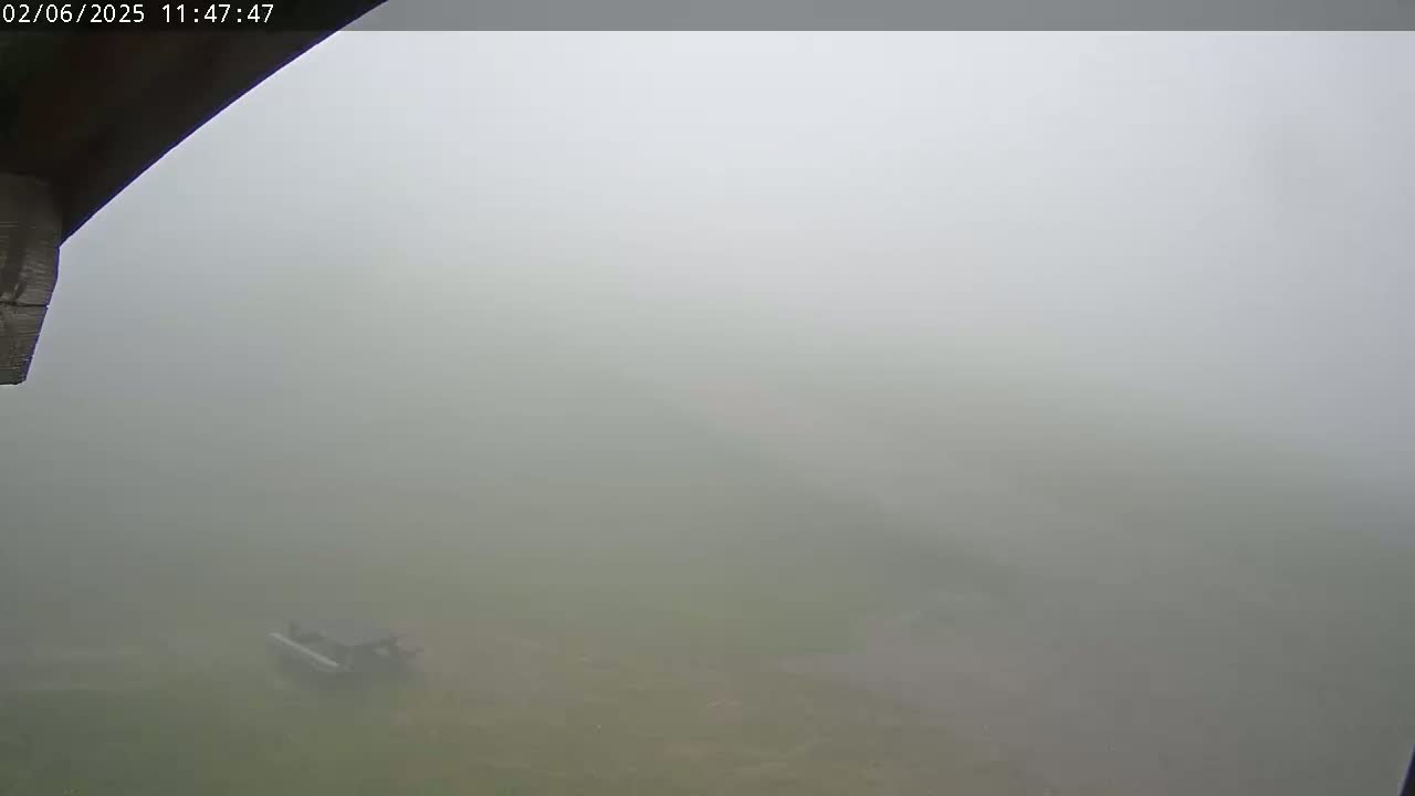 A foggy outdoor scene shows a partially visible vehicle and indistinct shapes in the distance.
