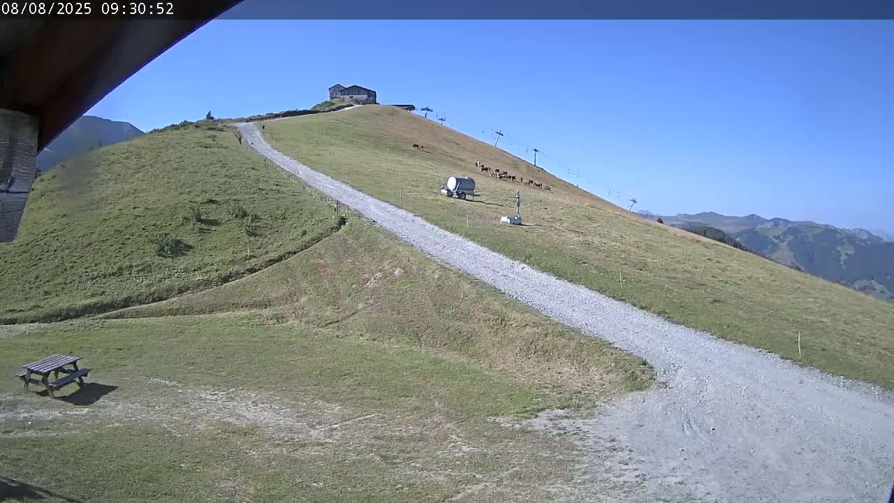 A gravel road winds down a grassy hillside toward a picnic table, under a clear blue sky, with cattle grazing on the upper slope near a small building and ski lift.