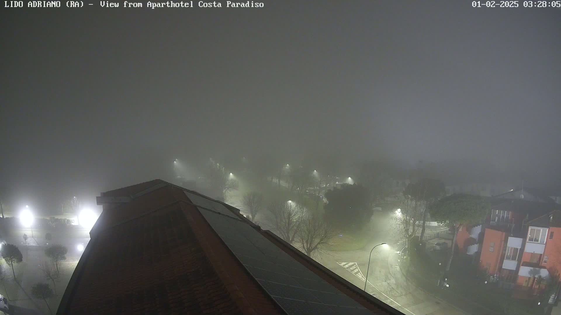 A nighttime, foggy view from a rooftop shows a street scene with dimly lit buildings and trees.