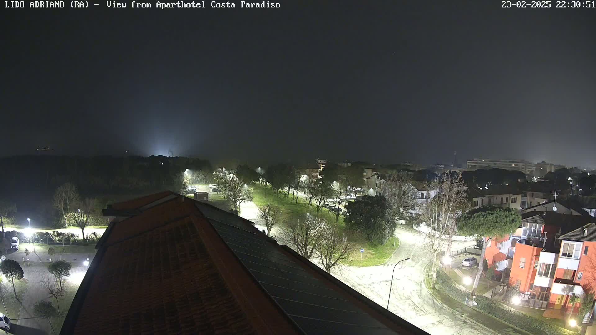 A nighttime, foggy view from a rooftop shows a residential area with illuminated streets and sparsely-leafed trees.