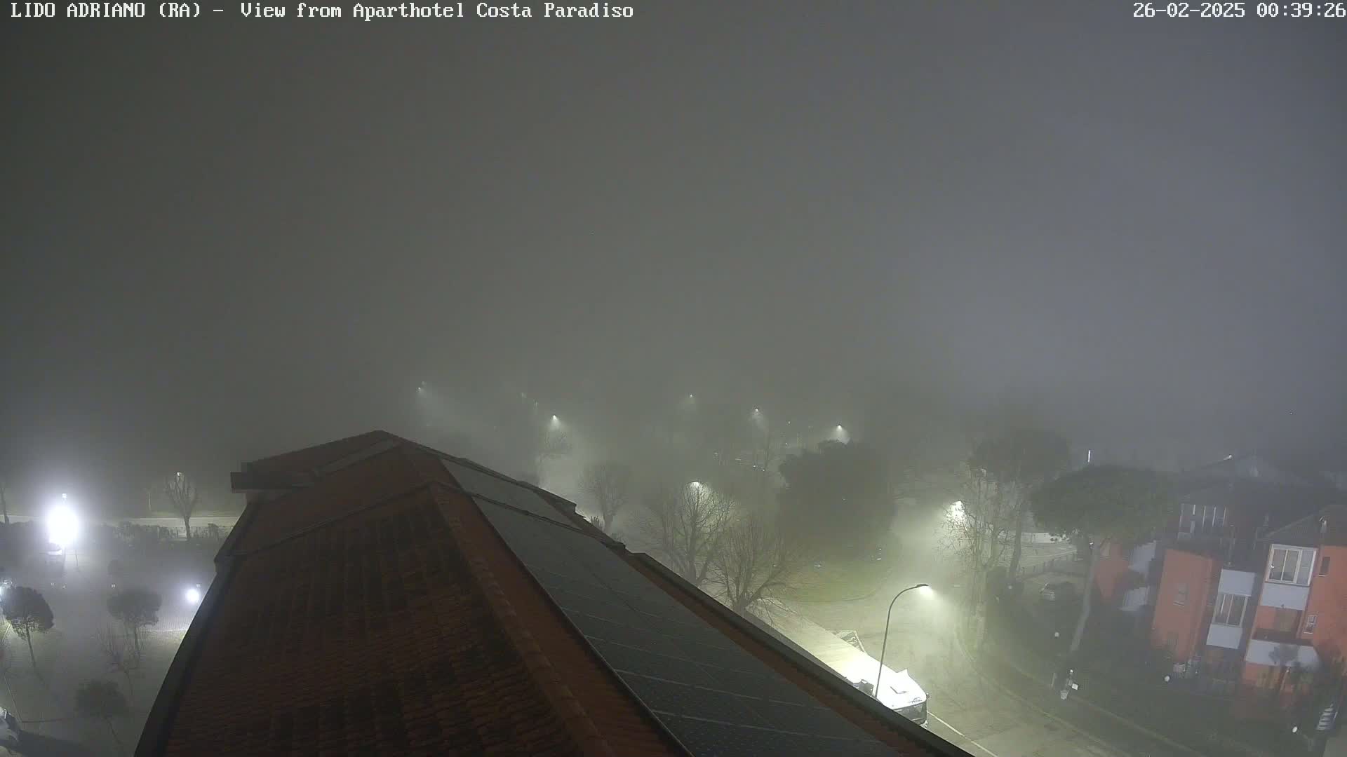 A nighttime view from a rooftop, showing a foggy landscape with dimly lit buildings and trees.