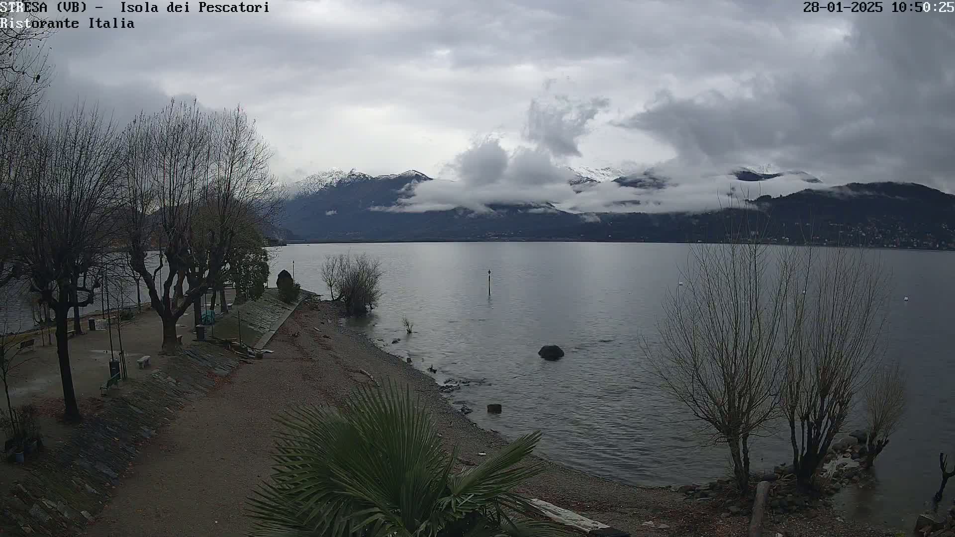A mostly cloudy day overlooks a calm lake with snow-capped mountains in the distance, a shoreline with bare trees and a small palm tree.