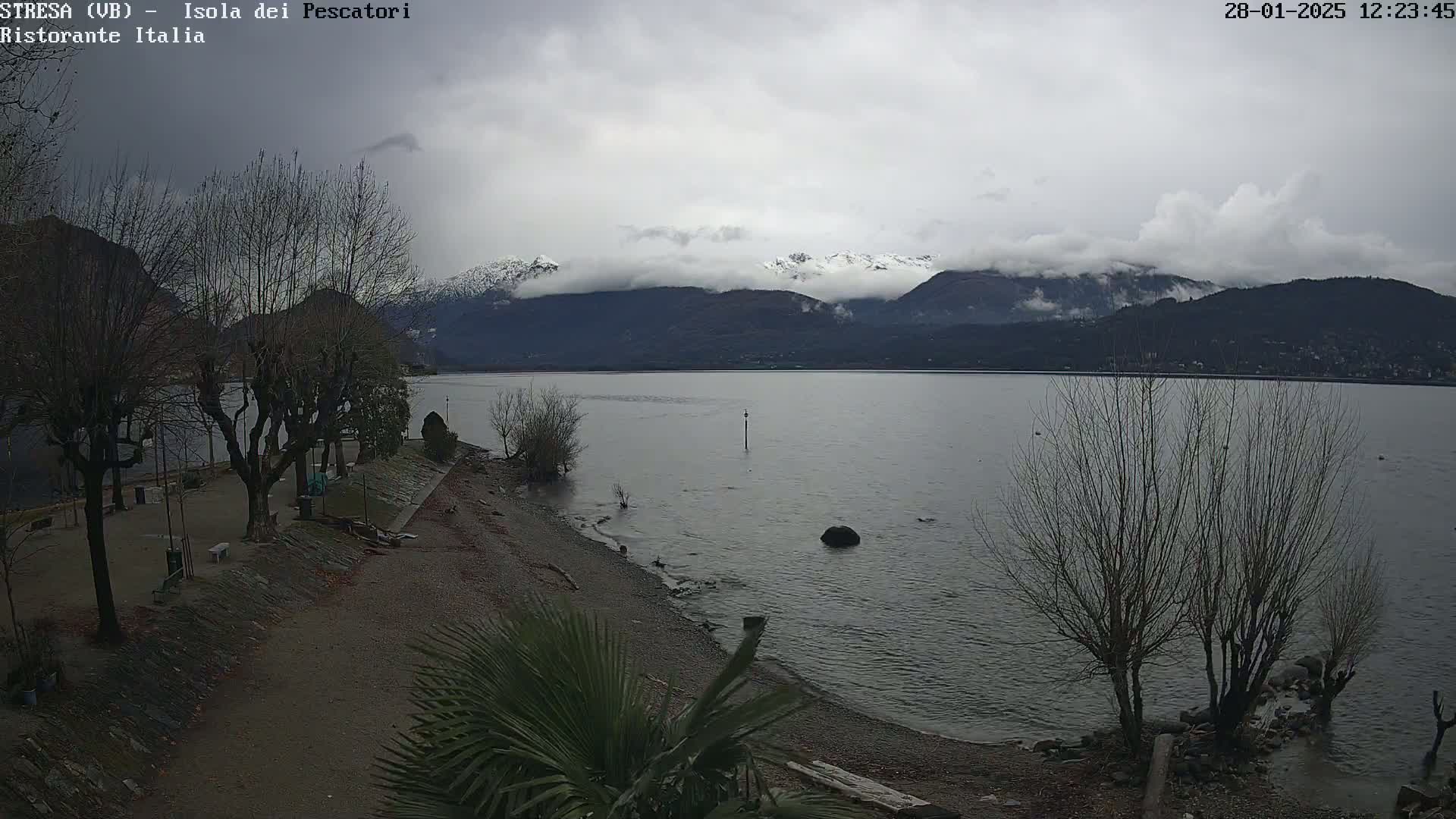 A shoreline with bare trees and a palm tree in the foreground overlooks a calm lake and snow-capped mountains under a cloudy sky.