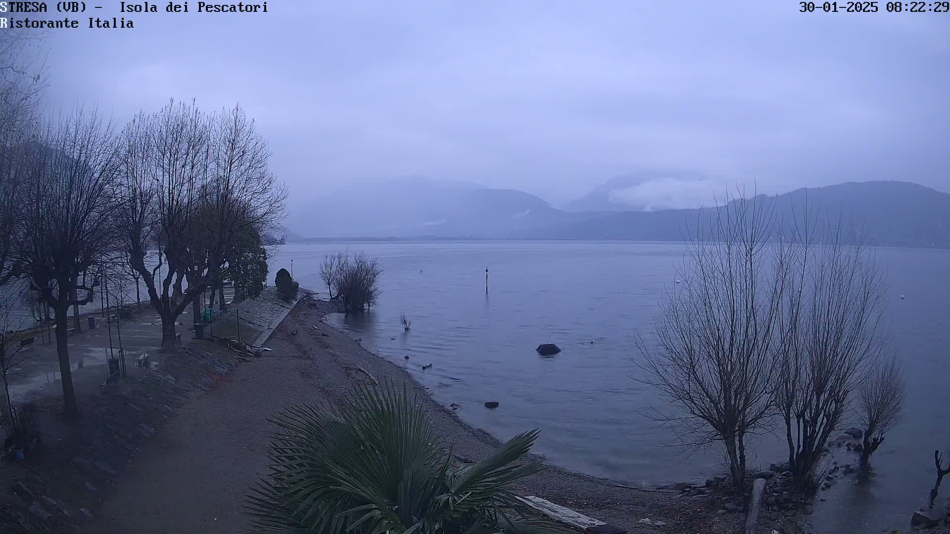 A calm lake is seen under an overcast sky, with bare trees lining a pebble beach in the foreground and distant mountains shrouded in mist.