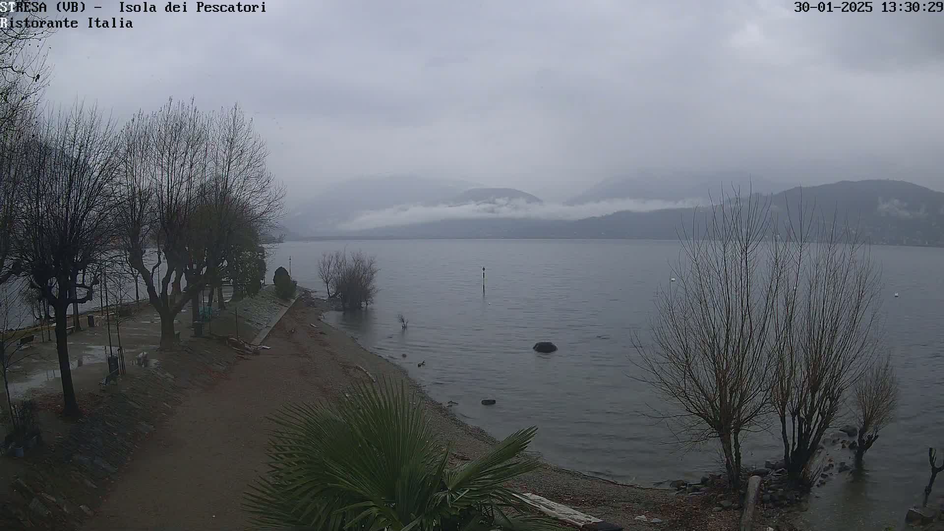 A shoreline with bare trees and a calm lake under an overcast sky.