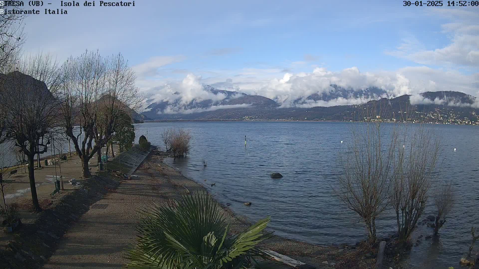 A partly cloudy day reveals a tranquil lake scene with snow-capped mountains in the distance, a shoreline with bare trees and a paved walkway, and a palm tree in the foreground.