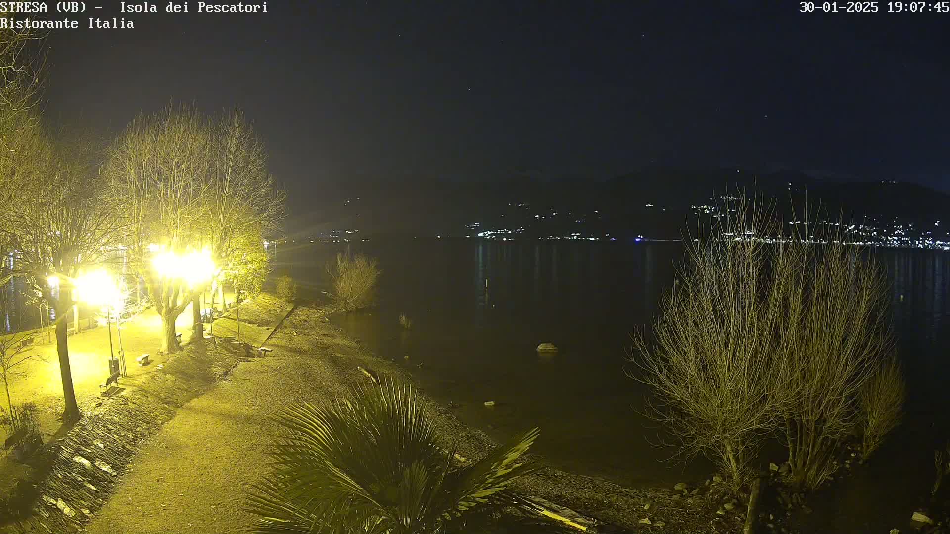 A nighttime lakeside scene shows illuminated trees and a shoreline with a calm body of water reflecting distant lights under a clear, dark sky.