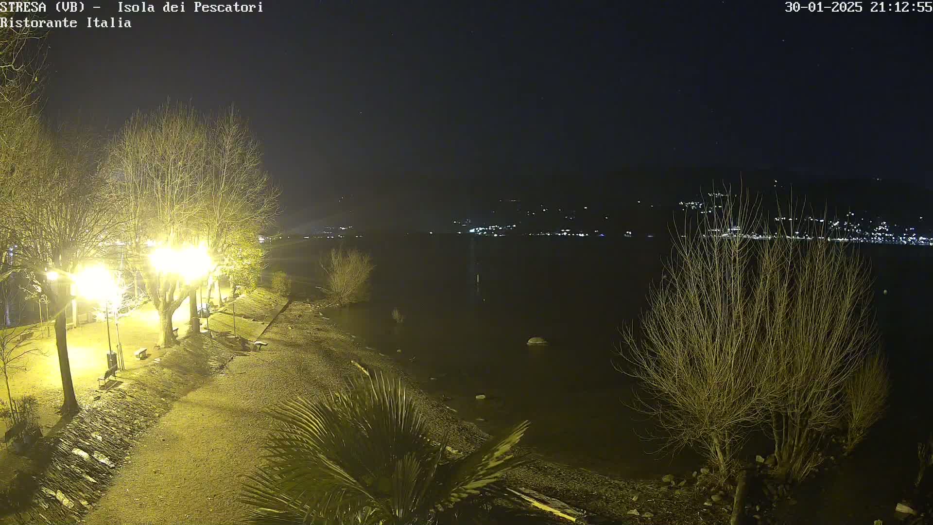 A nighttime view of a lakeshore, illuminated by lampposts, with bare trees and a calm body of water reflecting distant lights.