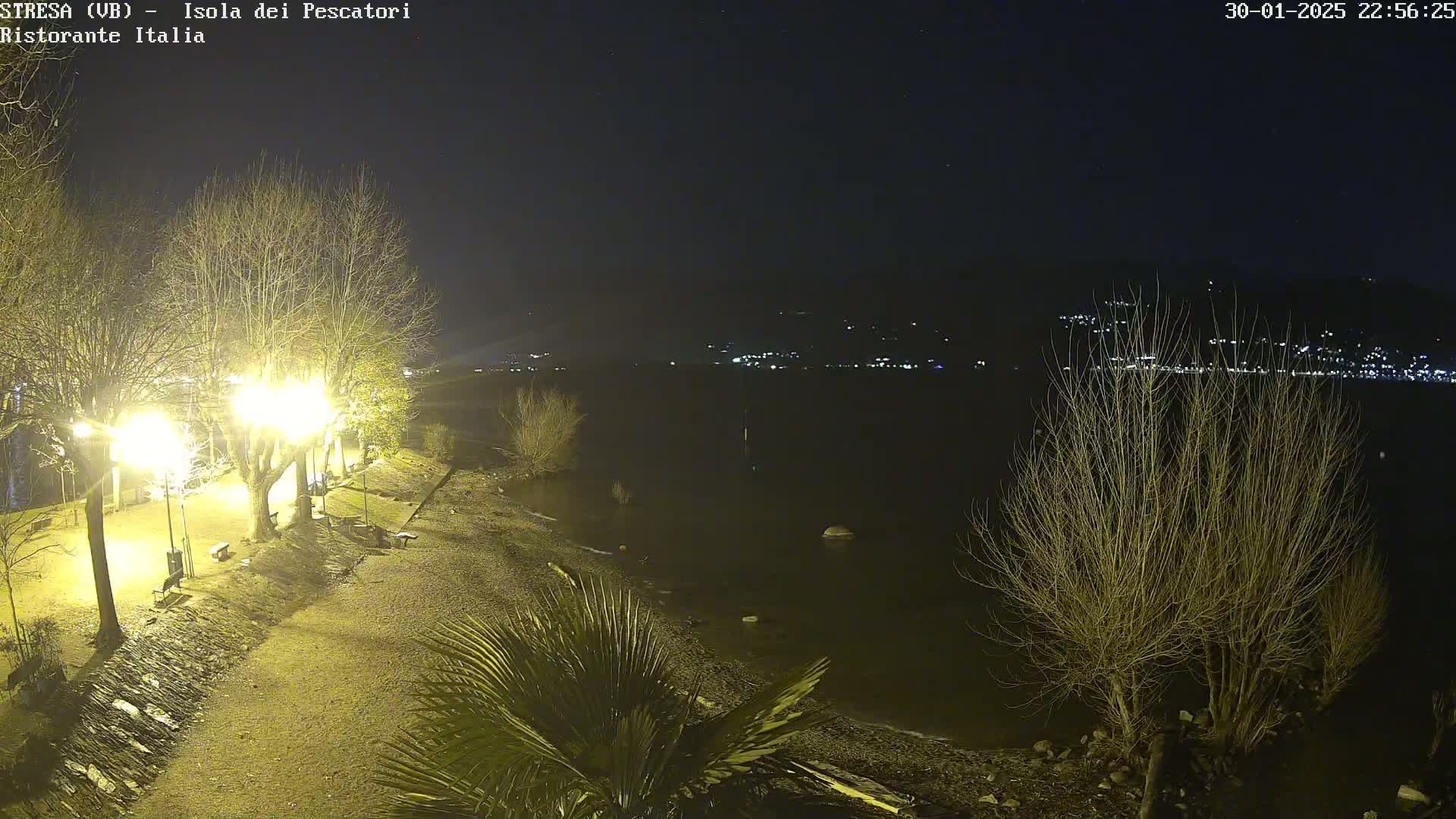 A nighttime view of a shoreline park with bare trees and lights illuminating a pathway leading to a dark body of water with distant city lights across the water under a clear, starlit sky.