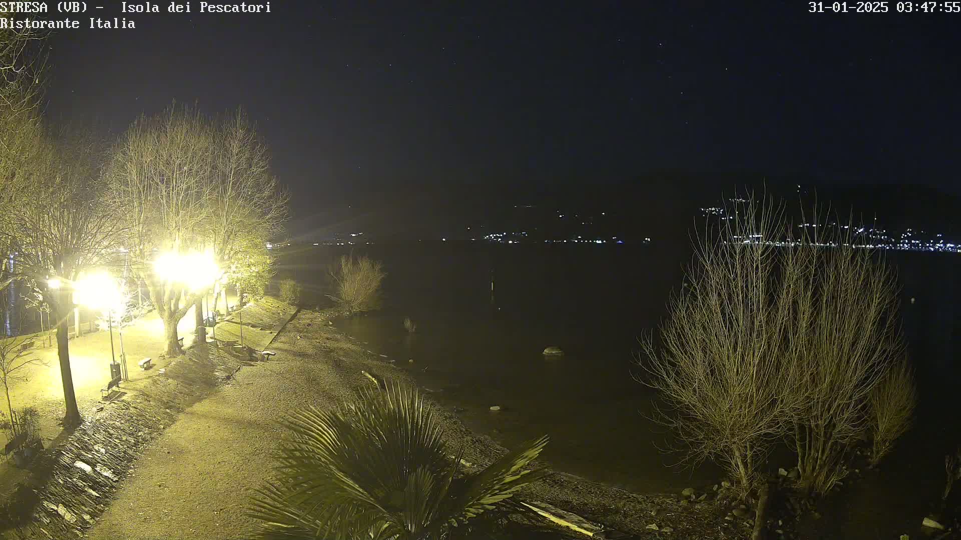 A nighttime view of a shoreline with illuminated trees and benches, overlooking a dark body of water with distant lights.