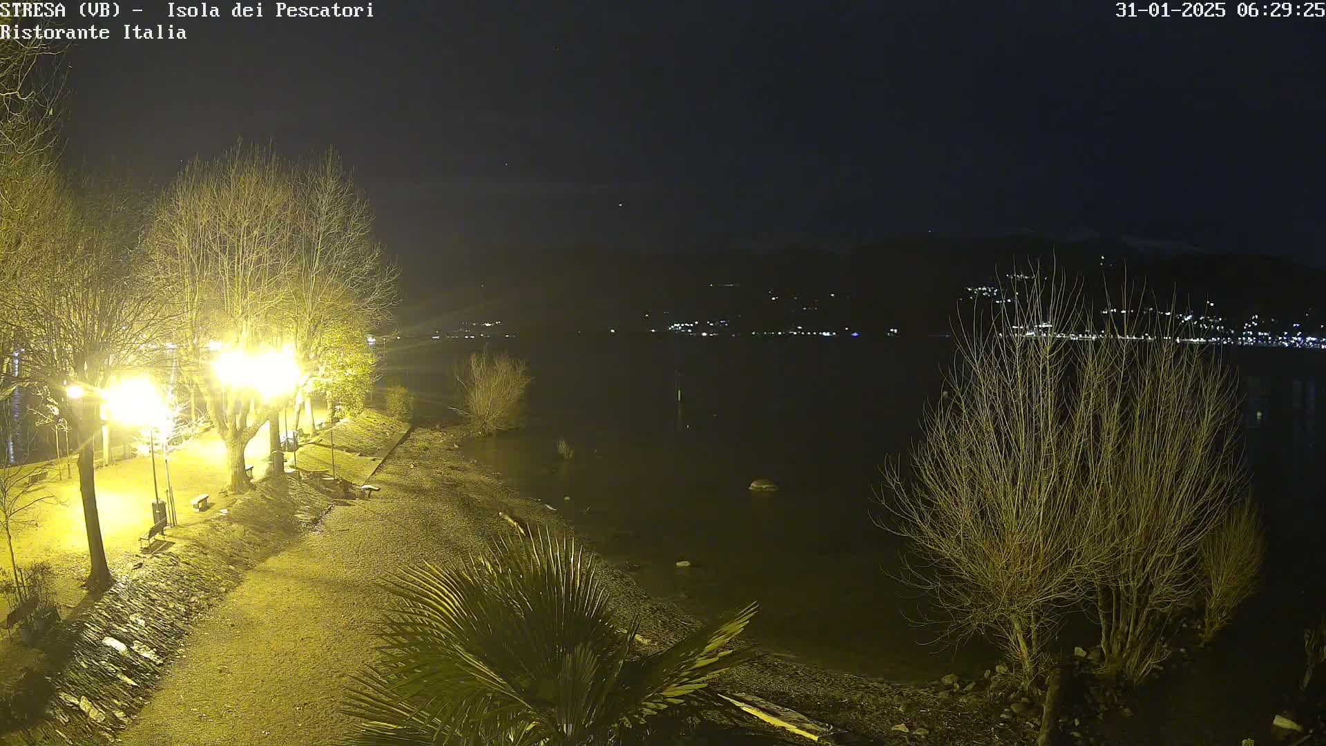 A nighttime view of a shoreline with bare trees illuminated by streetlights, overlooking a dark body of water with distant lights across the water.