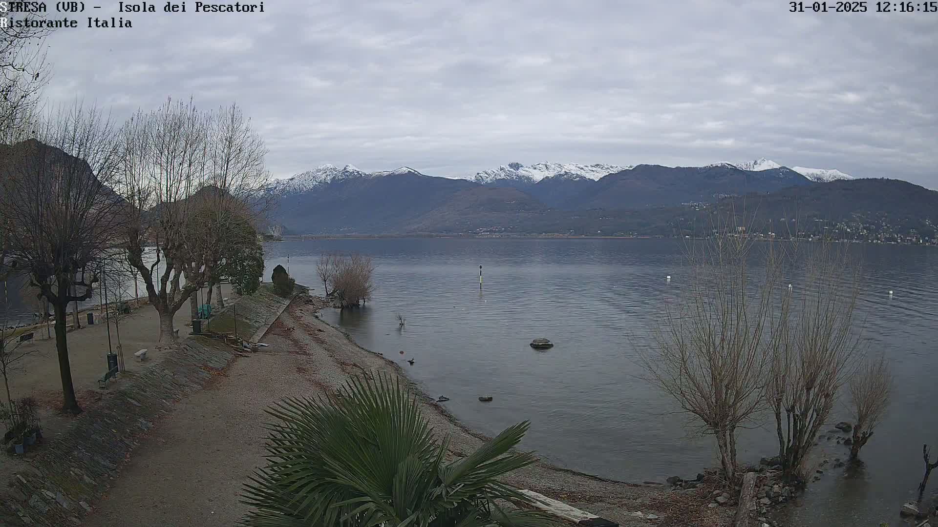 A snow-capped mountain range is visible across a calm lake from a lakeside park with bare trees and a palm tree in the foreground under an overcast sky.