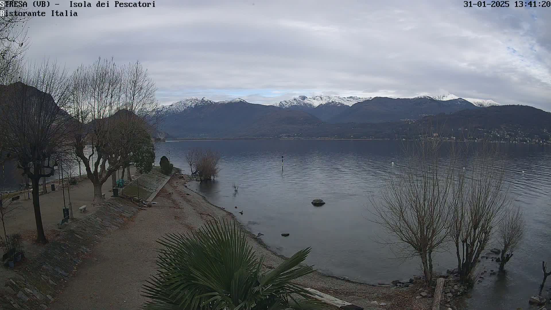 A view of a calm lake with snow-capped mountains in the background under a cloudy sky, showing a shoreline with bare trees and a small sandy beach.