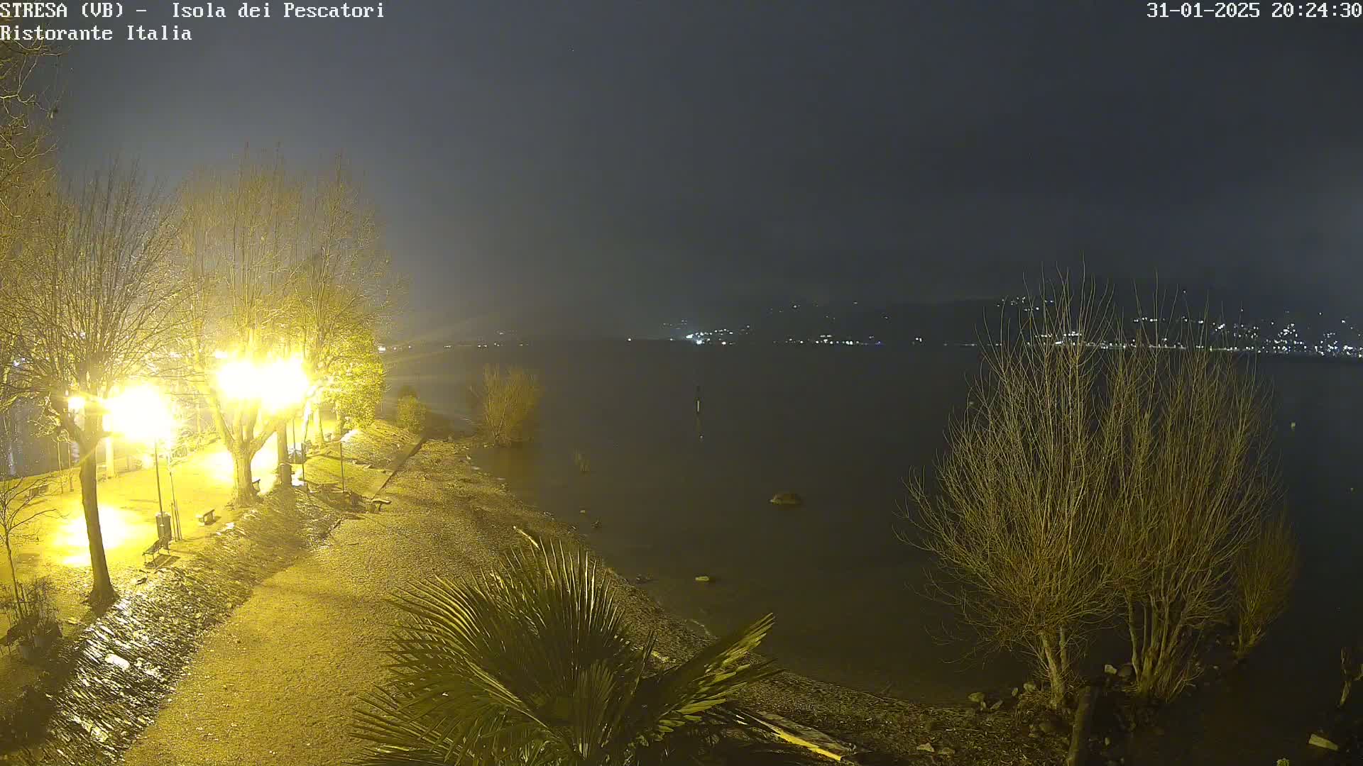 A nighttime view of a rain-slicked lakeshore path illuminated by streetlights, with bare trees and a calm lake in the background, showing distant lights across the water.