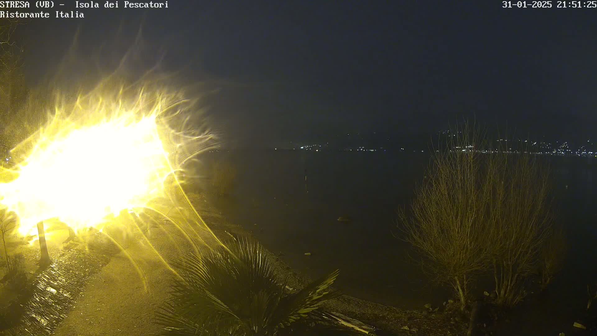 A bright light shines intensely near a dark body of water at night, with bare trees and palm trees in the foreground, and distant lights visible across the water.