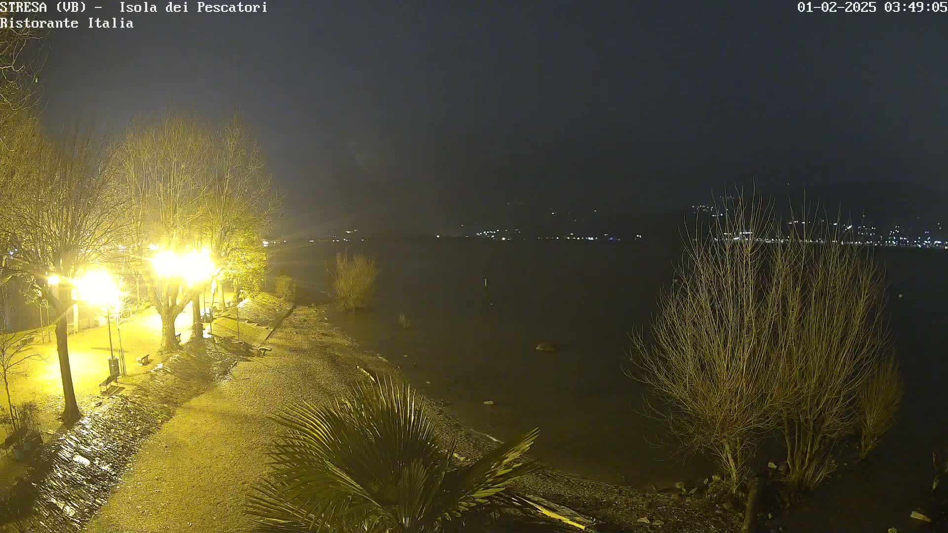 A nighttime view of a rain-slicked lakeshore path illuminated by streetlights, with bare trees and a palm tree in the foreground, and a dark lake and distant lights across the water.